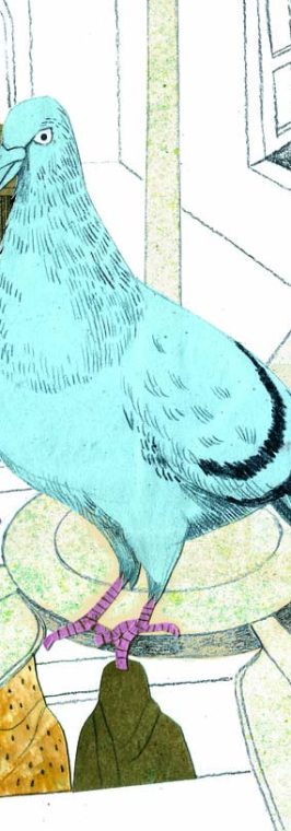 016_pigeon
